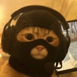 CatWifMask