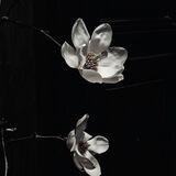 .. | 🎥 In the Silence Where Gloom Does Bloom: A Portrait in Whispers