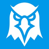 Ton Dexscreener updates