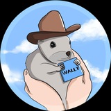 Wally - Peanut's Brother - CTO