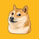 BNBDOGE | CHAT