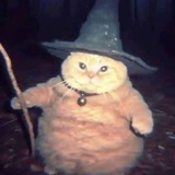 The Wizard Cat - Entry