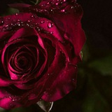 چنل عضوگیری گروه دوستانه دهه 50 & 60 & 70