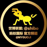🏆蚂蚁国际-美国大选🏆