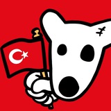 Dogs Türkiye🇹🇷