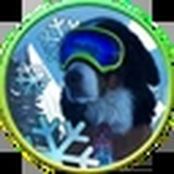 snowdog_portal