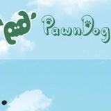PawnDora Official Channel