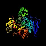 Enzyme Official