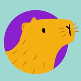 BrainyBara online
