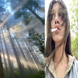 помойка джеронимо