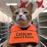 CatScan