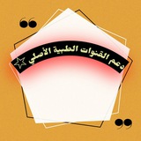 مجلد دعم القنوات الطبية
