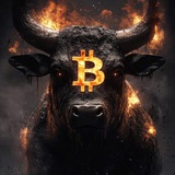 BITBULL