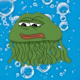 pepe-my-jelly portal