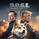 D.O.G.E