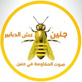 جنين عش الدبابير ✌️