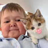 baby barsik
