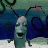 PLANKTON CTO - PORTAL
