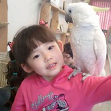 Shirayuki Eiko.