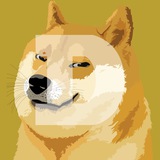 dohjcoin portal | $DOHJ 🐕