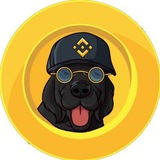 Binancedog Portal Cto