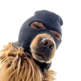 $SKI Mask Dog - Portal