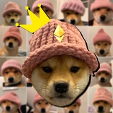 dogwifhat (erc)
