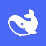 DEEPSEEK AI