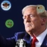 nationalmemeassetcto