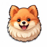 BOO | Pomeranian | Cutest Dog