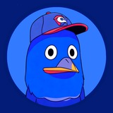 TONI THE BIRD