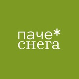 паче снега