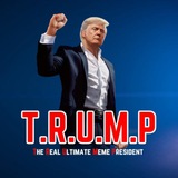 THE REAL ULTIMATE MEME PRESIDENT