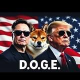 D.O.G.E. Portal