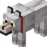 Dog | portal