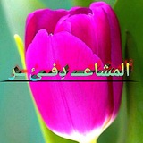 المـشـاعـــ دفئ ــر