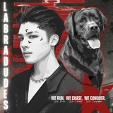 LABRADUDES.
