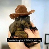 Mousey | Peanut Nickname Portal