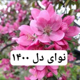 نوای دل ۱۴۰۰❤️🎵🎙