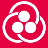 Большой культурный проект