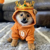 bitty the CEO ($BTC)
