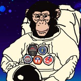 $HAM | First Ever Ape in Space | SOL