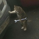 Car Mechanic