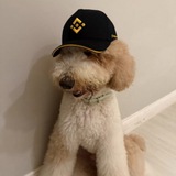 FurBinance