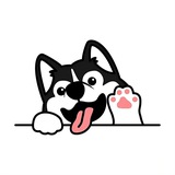 Momo加速