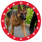 MAGA DOG - $ATLAS