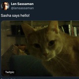 Bitcoin Cat | $SASHA