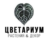 Цветариум Фест🌱 Саратов