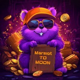 Marmot（土拨鼠）官方群