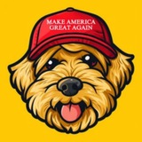 $PATTON | TRUMP'S FIRST DOG